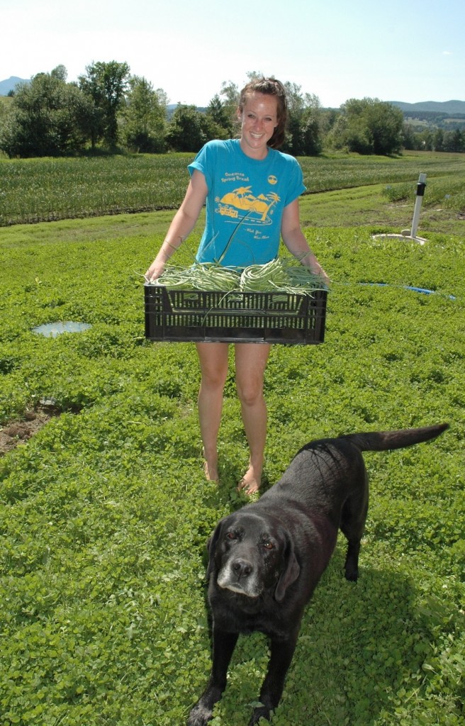 Our WWOOFer Maggie and our Woofer Abby at Green Mountain Garlic